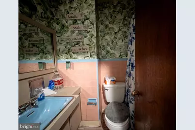 230 E Fariston Drive, Philadelphia, PA 19120 - Photo 14