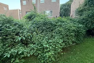 850 Welton St, Philadelphia, PA 19116 - Photo 10