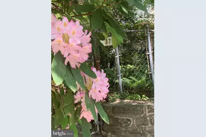 37 E Mermaid Lane, Philadelphia, PA 19118 - Photo 2