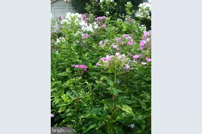 37 E Mermaid Lane, Philadelphia, PA 19118 - Photo 40