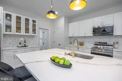 245 Hansberry Street, Philadelphia, PA 19144 - Photo 10