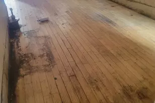 3308 N 11th St, Philadelphia, PA 19140 - Photo 2