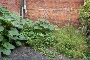 5931 Chestnut St, Philadelphia, PA 19139 - Photo 44