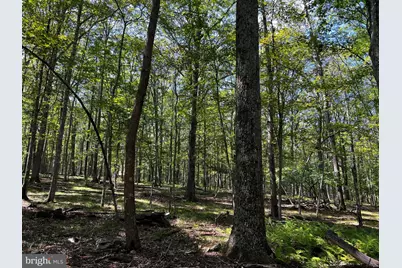 112 Spruce Court Lot 244, Lords Valley, PA 18428 - Photo 28