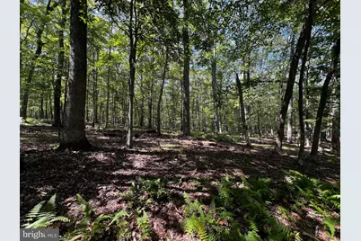 112 Spruce Court Lot 244, Lords Valley, PA 18428 - Photo 6