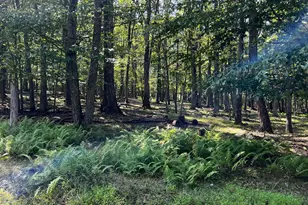 112 Spruce Ct Lot 244, Lords Valley, PA 18428 - Photo 1