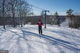 103 Ashley Ct, Bushkill, PA 18324 - Photo 48