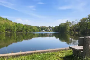 3301 Windermere Dr, Bushkill, PA 18324 - Photo 66