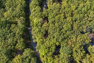 244 Canterbury Rd, Bushkill, PA 18324 - Photo 44