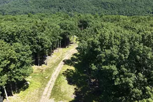 614 Masthope Plank Rd, Lackawaxen, PA 18435 - Photo 24