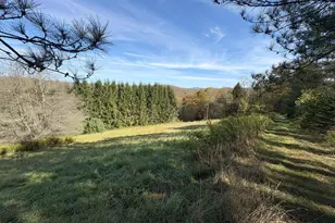 43 Songbird Way, Hazleton, PA 16922 - Photo 66