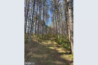 43 Songbird Way, Hazleton, PA 16922 - Photo 62