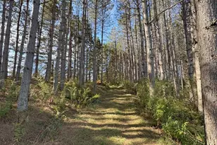 43 Songbird Way, Hazleton, PA 16922 - Photo 62