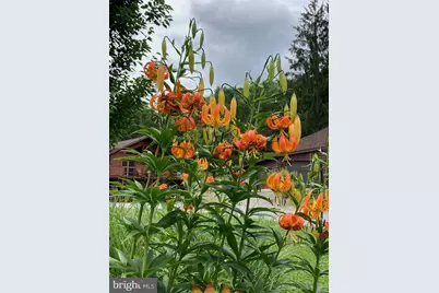 313 N. Brookland Road N, Hazleton, PA 16922 - Photo 62