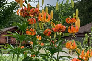 313 N Brookland Road N, Hazleton, PA 16922 - Photo 62