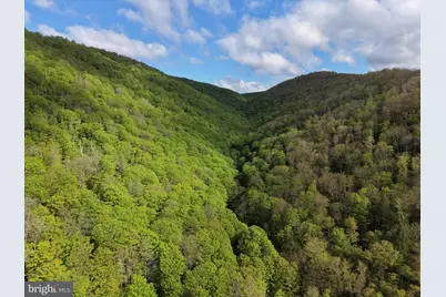 Tract 1: 1226 Cross Fork Creek Rd, Cross Fork, PA 17729 - Photo 12