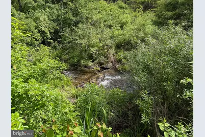 Tract 1: 1226 Cross Fork Creek Rd, Cross Fork, PA 17729 - Photo 34