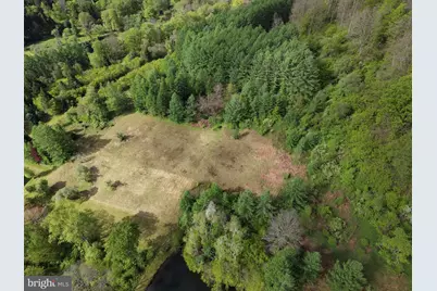Tract 1: 1226 Cross Fork Creek Rd, Cross Fork, PA 17729 - Photo 16