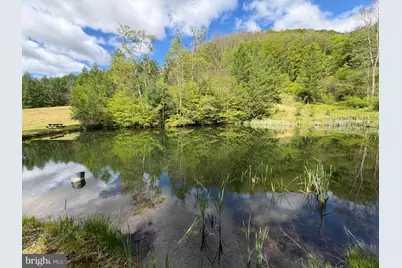Tract 1: 1226 Cross Fork Creek Rd, Cross Fork, PA 17729 - Photo 54