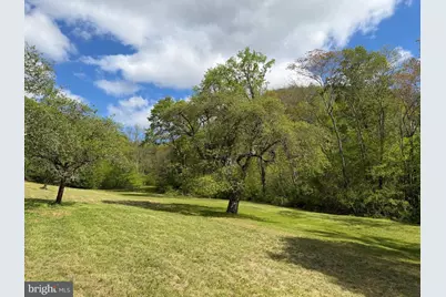Tract 1: 1226 Cross Fork Creek Rd, Cross Fork, PA 17729 - Photo 46