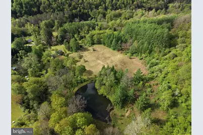 Tract 1: 1226 Cross Fork Creek Rd, Cross Fork, PA 17729 - Photo 14