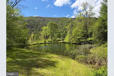 Tract 1: 1226 Cross Fork Creek Rd, Cross Fork, PA 17729 - Photo 64