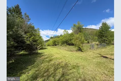 Tract 1: 1226 Cross Fork Creek Rd, Cross Fork, PA 17729 - Photo 84