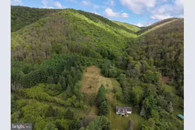 Tract 1: 1226 Cross Fork Creek Rd, Cross Fork, PA 17729 - Photo 2