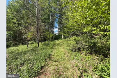 Tract 1: 1226 Cross Fork Creek Rd, Cross Fork, PA 17729 - Photo 72