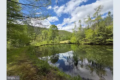Tract 1: 1226 Cross Fork Creek Rd, Cross Fork, PA 17729 - Photo 56