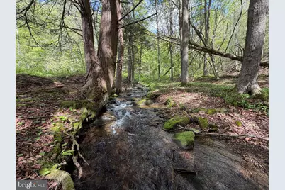 Tract 1: 1226 Cross Fork Creek Rd, Cross Fork, PA 17729 - Photo 58