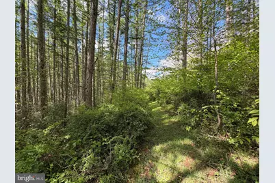 Tract 1: 1226 Cross Fork Creek Rd, Cross Fork, PA 17729 - Photo 74