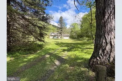 Tract 1: 1226 Cross Fork Creek Rd, Cross Fork, PA 17729 - Photo 86