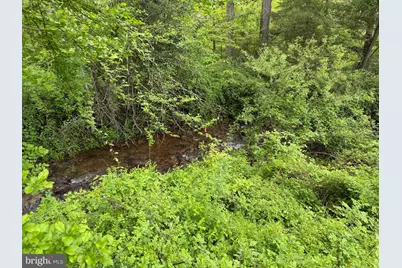 Tract 1: 1226 Cross Fork Creek Rd, Cross Fork, PA 17729 - Photo 38