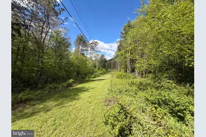 Tract 1: 1226 Cross Fork Creek Rd, Cross Fork, PA 17729 - Photo 78