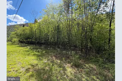Tract 1: 1226 Cross Fork Creek Rd, Cross Fork, PA 17729 - Photo 80
