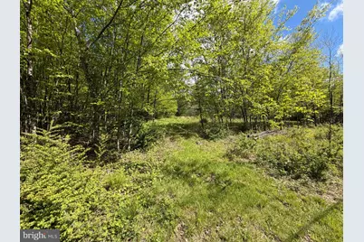 Tract 1: 1226 Cross Fork Creek Rd, Cross Fork, PA 17729 - Photo 82