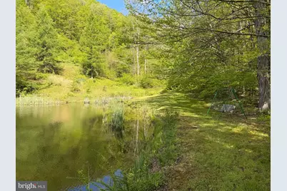 Tract 1: 1226 Cross Fork Creek Rd, Cross Fork, PA 17729 - Photo 66