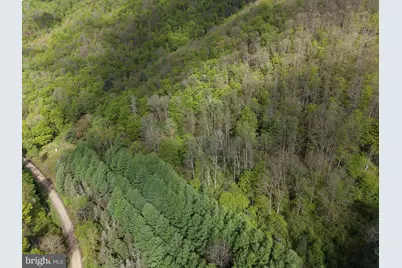 Tract 1: 1226 Cross Fork Creek Rd, Cross Fork, PA 17729 - Photo 18