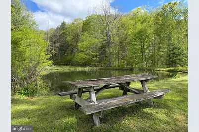 Tract 1: 1226 Cross Fork Creek Rd, Cross Fork, PA 17729 - Photo 52