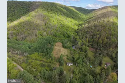 Tract 1: 1226 Cross Fork Creek Rd, Cross Fork, PA 17729 - Photo 6