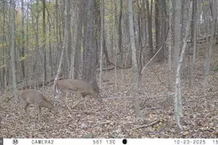 740 Hidden Valley Rd, Loysville, PA 17047 - Photo 34