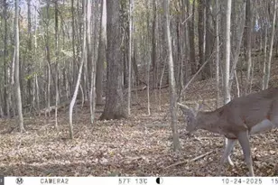 740 Hidden Valley Rd, Loysville, PA 17047 - Photo 38