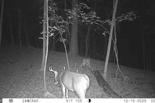 740 Hidden Valley Rd, Loysville, PA 17047 - Photo 30