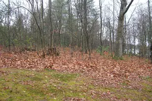 10698 Buffalo Trace, Newport, PA 17074 - Photo 6