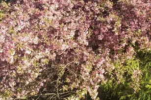 3370 Valley Rd, Marysville, PA 17053 - Photo 6