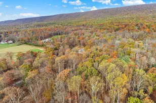 7504 Raccoon Valley Rd, Millerstown, PA 17062 - Photo 66