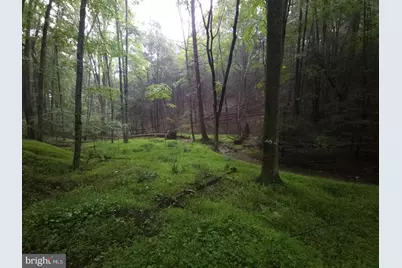 0 Spriggle Road, Elliottsburg, PA 17024 - Photo 4