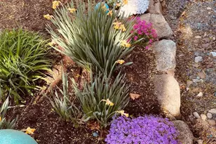 1985 Old Mill Rd, Marysville, PA 17053 - Photo 62