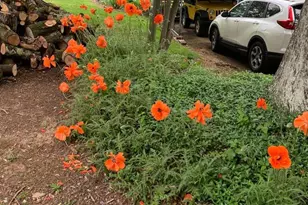 1985 Old Mill Rd, Marysville, PA 17053 - Photo 70